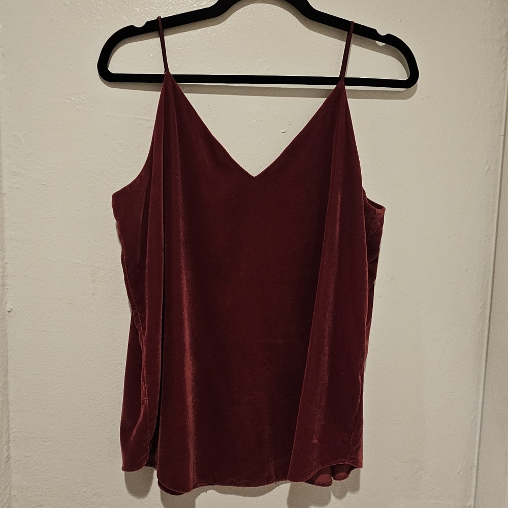 Express Velvet Sleeveless Top